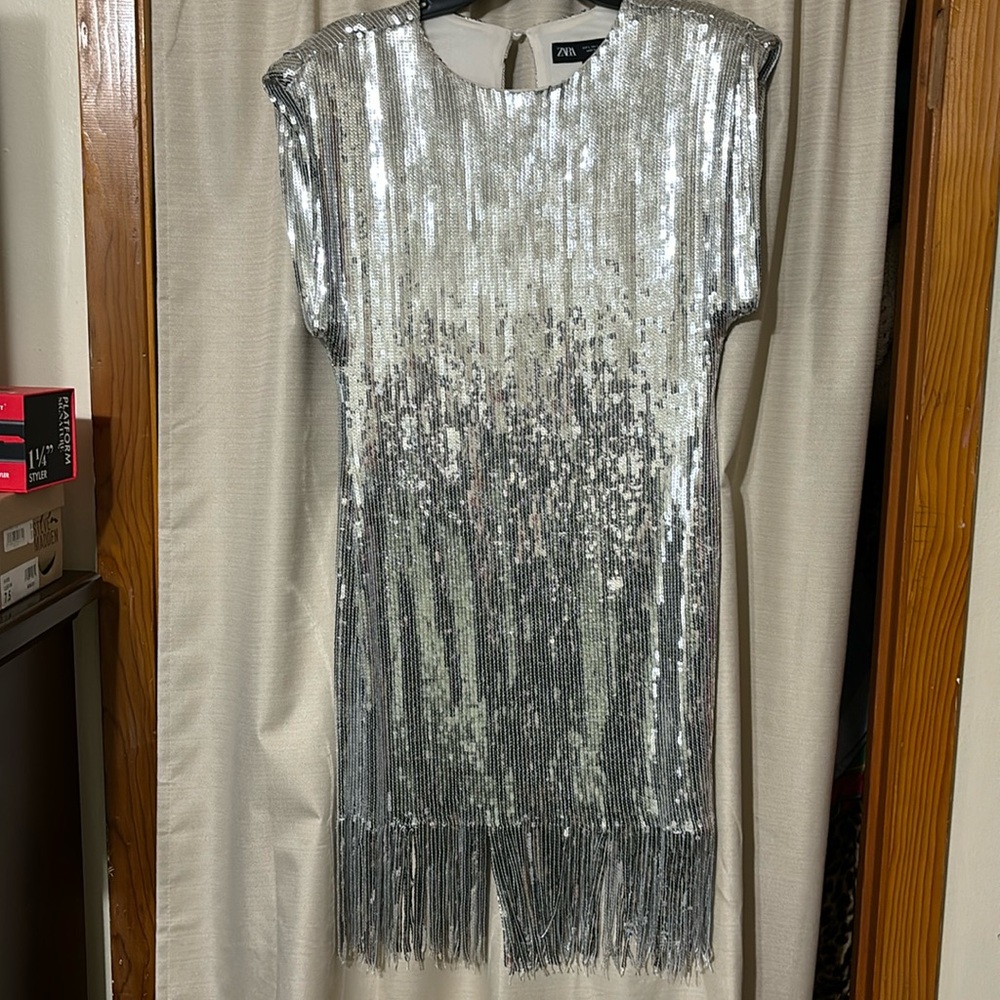 Zara Silver Sequin Fringe Sheath Dress